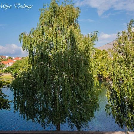 Smjestaj Miljas Trebinje Hotel Екстериор снимка